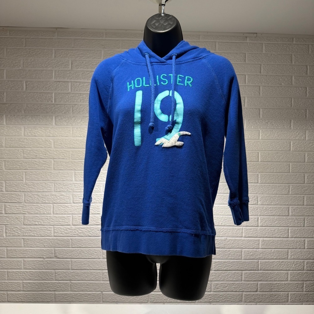 Hollister Blue Graphic Hoodie Sweatshirt Seagull Surf Casual Athleisure
